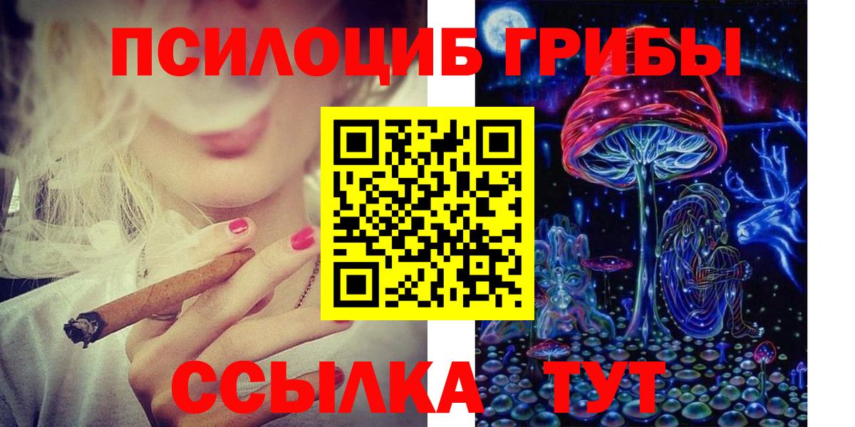 Псилоцибиновые грибы Cubensis Электрогорск