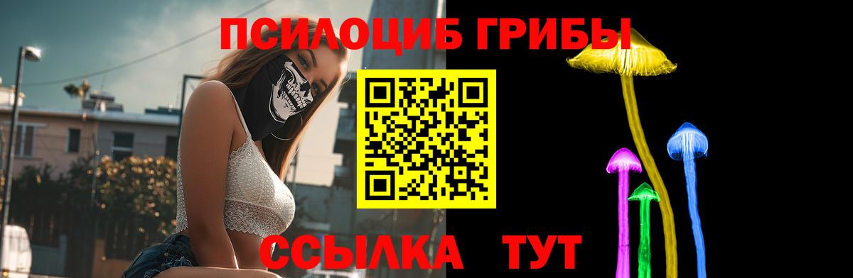 Электрогорск  Галлюциногенные грибы прущие грибы  Вход с VPN 